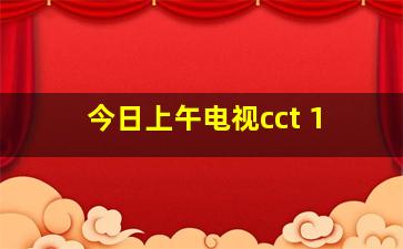 今日上午电视cct 1